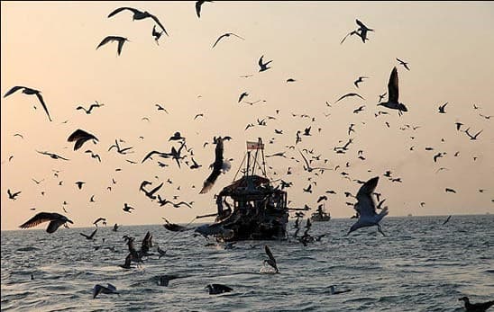 A Comprehensive Guide to Exploring Qeshm Island