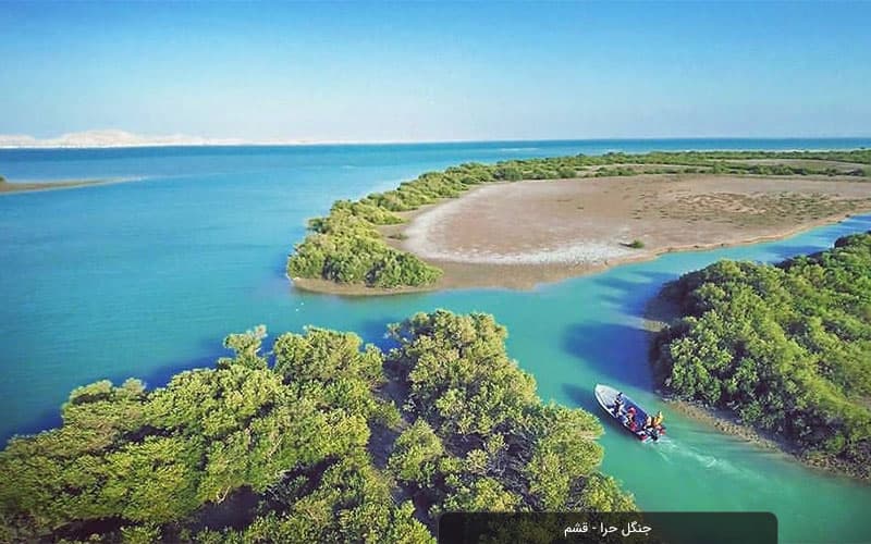 غابة حرا في قشم: نظام بيئي فريد في المياه المالحة