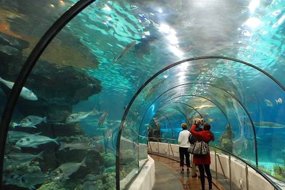 الأنشطة المائية في قشم: فرص الاستثمار وجذب السياح