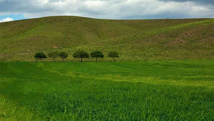 سهل بخو في قشم: جمال الطبيعة البكر في جنوب إيران